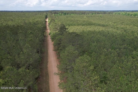 56 Acres in St. Helena Parish with Black Creek - image 5