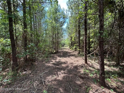 56 Acres in St. Helena Parish with Black Creek - image 38