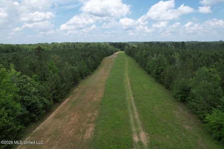 56 Acres in St. Helena Parish with Black Creek - image 1