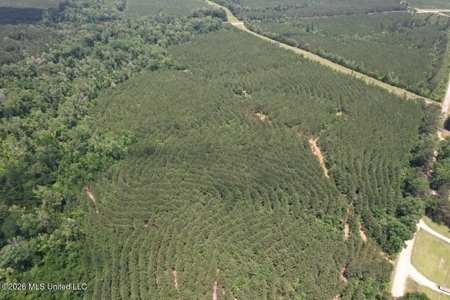 56 Acres in St. Helena Parish with Black Creek - image 30