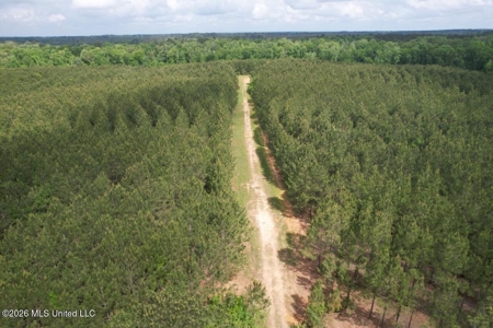 56 Acres in St. Helena Parish with Black Creek - image 4