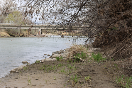 Bridger Creek Crossing  | Riverfront Acreage - image 20