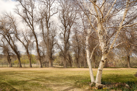 Bridger Creek Crossing  | Riverfront Acreage - image 31