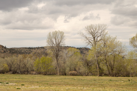 Bridger Creek Crossing  | Riverfront Acreage - image 10