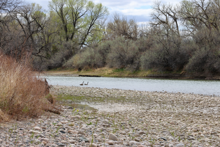 Bridger Creek Crossing  | Riverfront Acreage - image 37