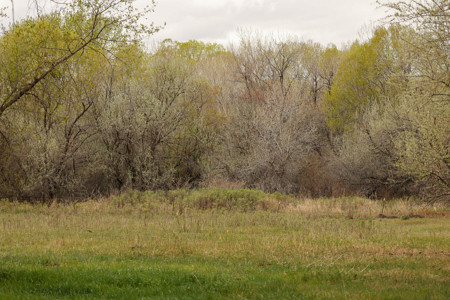 Bridger Creek Crossing  | Riverfront Acreage - image 42