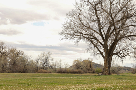 Bridger Creek Crossing  | Riverfront Acreage - image 34