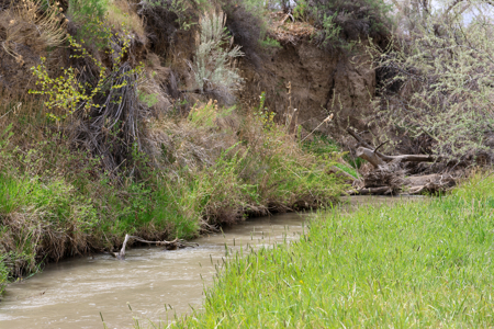 Bridger Creek Crossing  | Riverfront Acreage - image 19