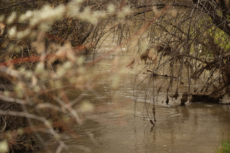 Bridger Creek Crossing  | Riverfront Acreage - image 44