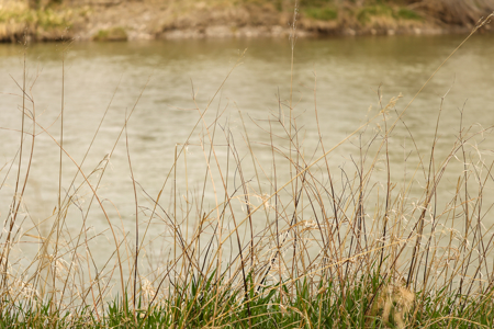 Bridger Creek Crossing  | Riverfront Acreage - image 41