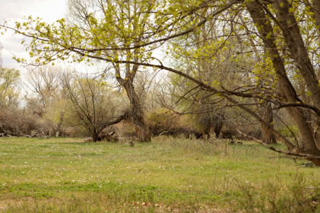 Bridger Creek Crossing  | Riverfront Acreage - image 33