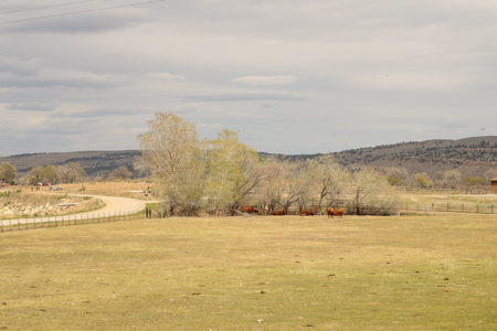 Bridger Creek Crossing  | Riverfront Acreage - image 32