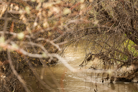 Bridger Creek Crossing  | Riverfront Acreage - image 9