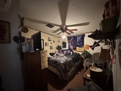 Salome AZ Mobile Home on 2.05 Acres 3 bedroom, 2 bath - image 12