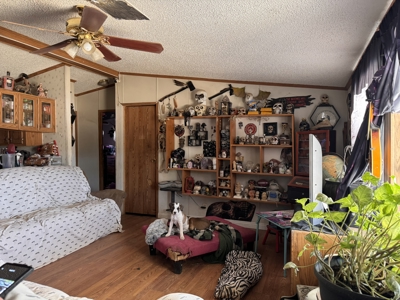 Salome AZ Mobile Home on 2.05 Acres 3 bedroom, 2 bath - image 4