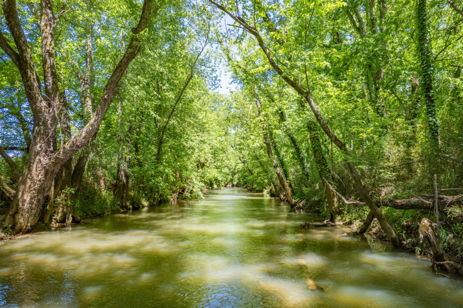 No Caption