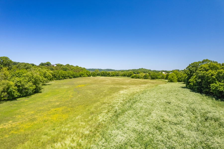 No Caption