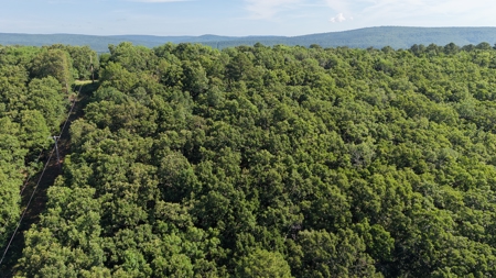 Armstrong Land Auction Tract | Land for Sale ONLINE AUCTION - image 1