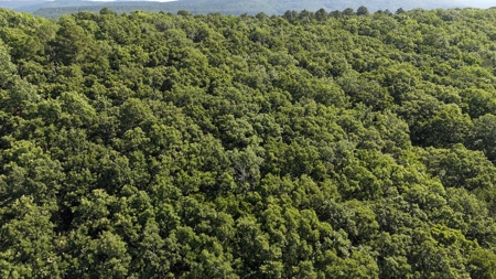 Armstrong Land Auction Tract | Land for Sale ONLINE AUCTION - image 4