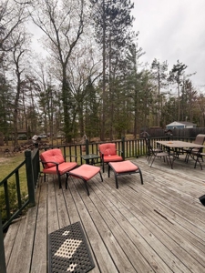 Charming Home & East Twin Lake Access Near Downtown Lewiston MI - image 30