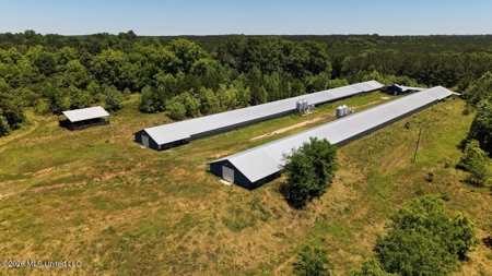 Hickory MS 2 House Breeder Poultry Farm - image 19