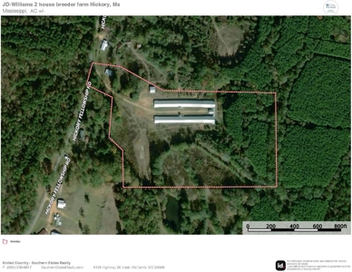 Hickory MS 2 House Breeder Poultry Farm - image 40
