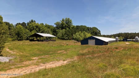 Hickory MS 2 House Breeder Poultry Farm - image 22
