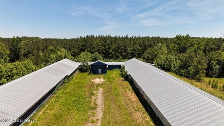 Hickory MS 2 House Breeder Poultry Farm - image 23