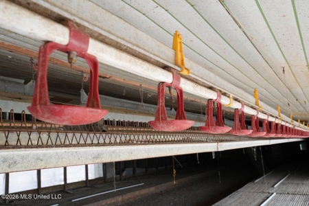 Hickory MS 2 House Breeder Poultry Farm - image 33