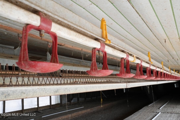Hickory MS 2 House Breeder Poultry Farm