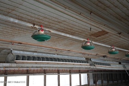 Hickory MS 2 House Breeder Poultry Farm - image 32