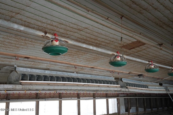 Hickory MS 2 House Breeder Poultry Farm