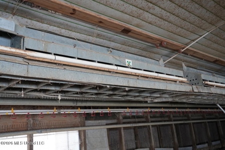 Hickory MS 2 House Breeder Poultry Farm - image 31