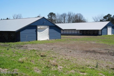 Hickory MS 2 House Breeder Poultry Farm - image 2