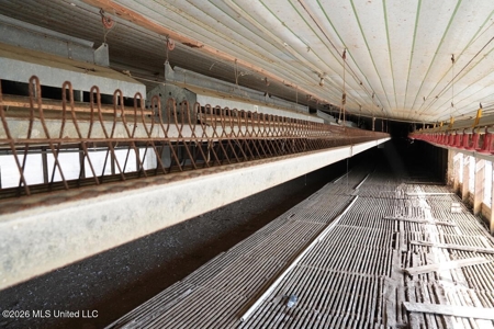 Hickory MS 2 House Breeder Poultry Farm - image 34
