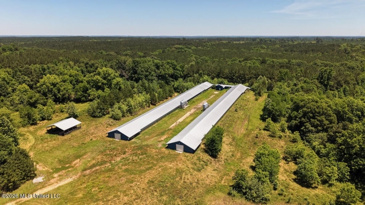 Hickory MS 2 House Breeder Poultry Farm