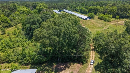 Hickory MS 2 House Breeder Poultry Farm - image 25