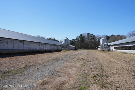 Hickory MS 2 House Breeder Poultry Farm - image 12