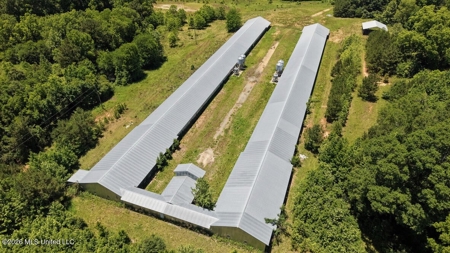 Hickory MS 2 House Breeder Poultry Farm - image 24