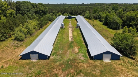 Hickory MS 2 House Breeder Poultry Farm - image 20