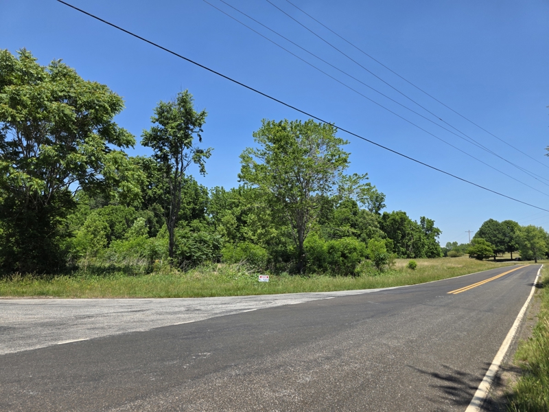 No Caption