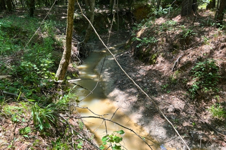 44 Acres of Unrestricted Land for Sale Near Marshall TX - image 7