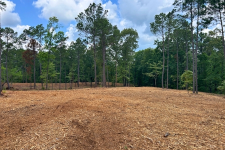 44 Acres of Unrestricted Land for Sale Near Marshall TX - image 4