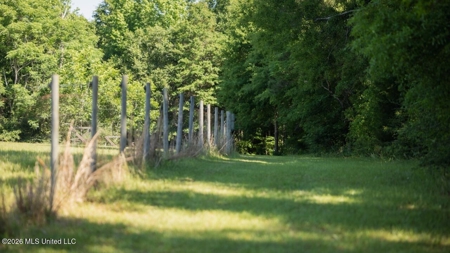 Luxury Estate on 98 Acres in Camden, AL - image 43