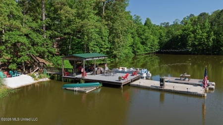 Luxury Estate on 98 Acres in Camden, AL - image 4