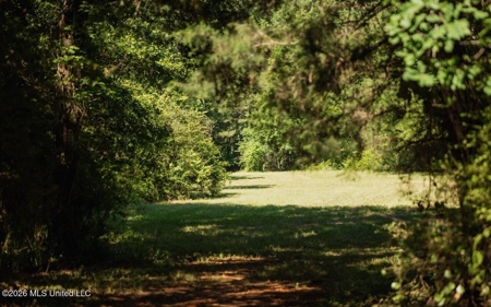 Luxury Estate on 98 Acres in Camden, AL - image 44