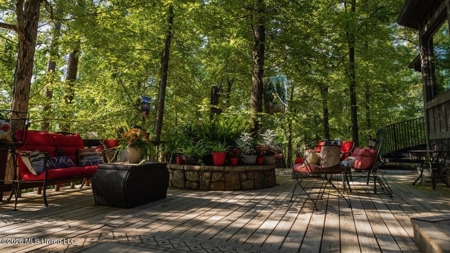 Luxury Estate on 98 Acres in Camden, AL - image 32
