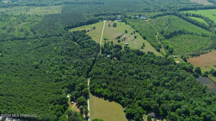 Luxury Estate on 98 Acres in Camden, AL