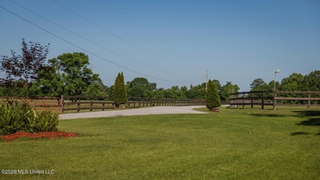 Luxury Estate on 98 Acres in Camden, AL - image 37