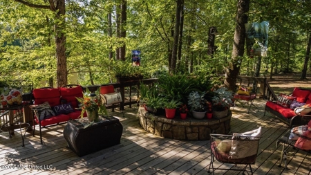 Luxury Estate on 98 Acres in Camden, AL - image 29